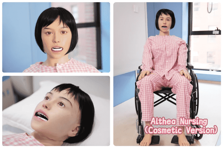 Althea Nursing/Silver Althea Nursing/Asher Nursing